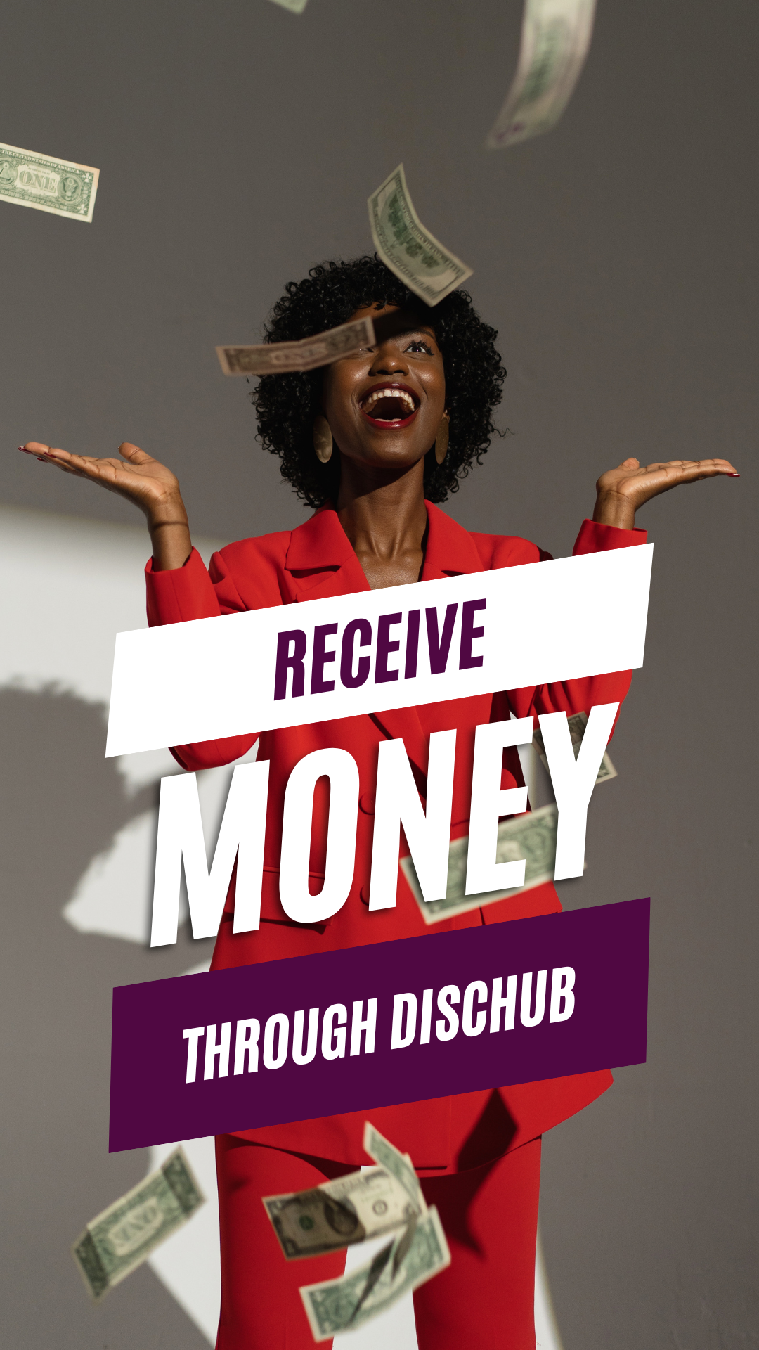 Receive Payments with Dischub